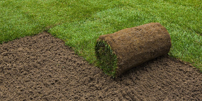 Hazır Rulo Çim & Sulama Sistemleri